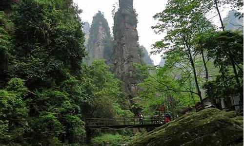 武汉到张家界旅游攻略及费用_武汉到张家界旅游攻略及费用多少