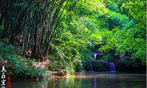 成都到蜀南竹海旅游攻略_成都到蜀南竹海旅游攻略自驾