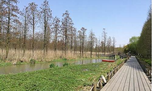 郊野公园攻略冬季景点_郊野公园攻略冬季景点图片