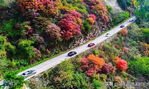 翠华山旅游攻略一日游说说_翠华山一日游路线