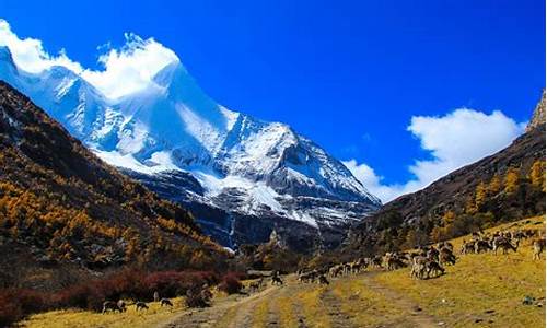 稻城亚丁旅游攻略自由行攻略_稻城亚丁旅游攻略自由行攻略重庆出发